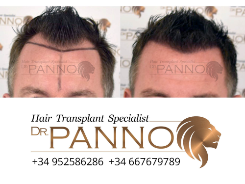 www.drpanno.com